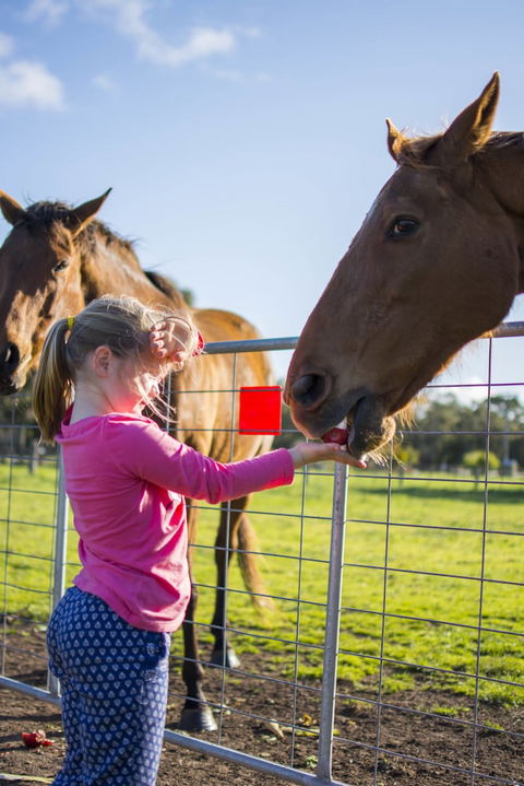 Freshwater Creek Cottages And Farm Stay - Travel Search 0