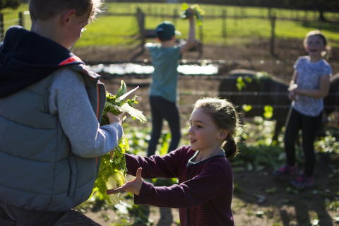 Freshwater Creek Cottages And Farm Stay - Travel Search 3