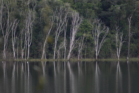 Mary Valley Views B + B - Travel Agents 4