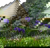 Tamborine Gardens - Cruises Travel