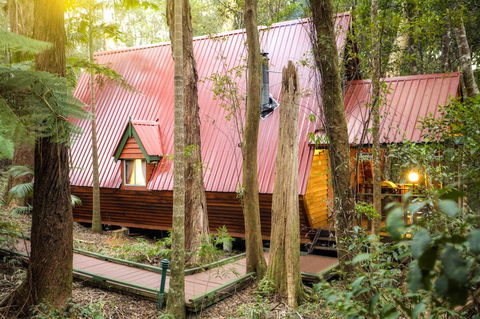The Mouses House Rainforest Retreat - Tourism Guide 0