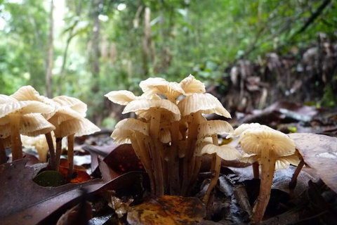 Bellthorpe Stays - Travel Search 3