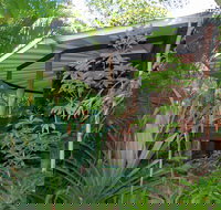 Mt Warning Rainforest Retreat - Travel Agents