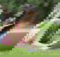 Mycow Accommodation Mackay - Travel Agents