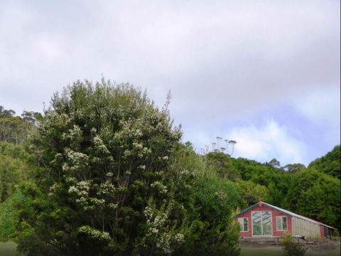 Rocky Glen Retreat King Island - Tourism Guide 6