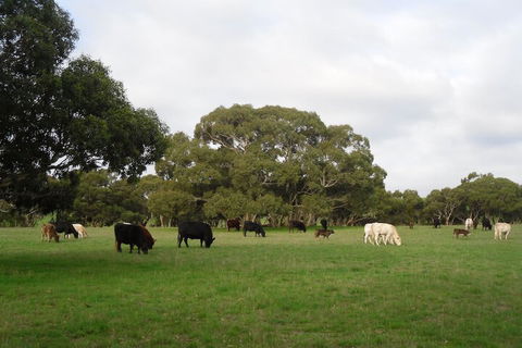 Wenton Farm Holiday Cottages - Travel Agents 4