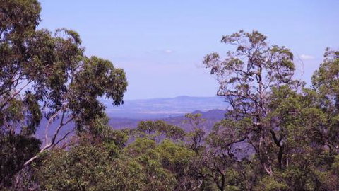 Ravensbourne Escape Cedar Lodge - Travel Agents 5