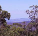Ravensbourne Escape Cedar Lodge - Travel Agents