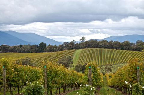 Mount Evelyn Retreat - Travel Agents 2