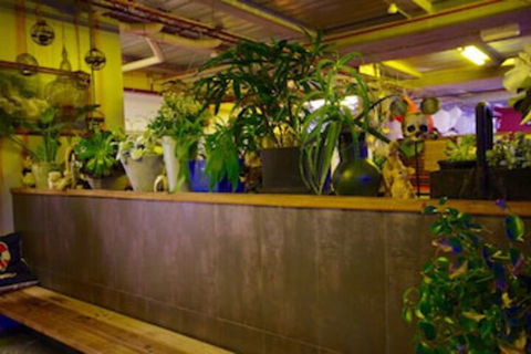 Sow And Piglets Guesthouse - Tourism Guide 0