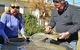 Fossicker Caravan Park - thumb 1