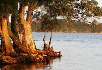 NRMA Myall Shores Holiday Park - Tourism Guide 2