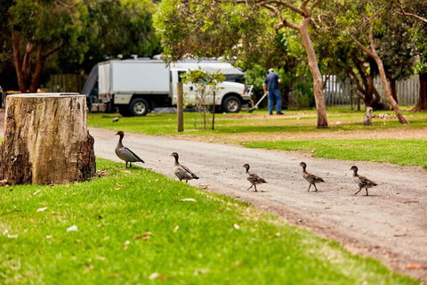 Kennett River Family Caravan Park - Travel Search 5