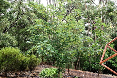 Tangenong Cottages - Cruises Travel 4