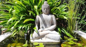 Vatu Sanctuary - Travel Search 4
