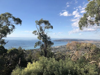 Dream Views At Arthurs Seat B&B - Tourism Guide 0