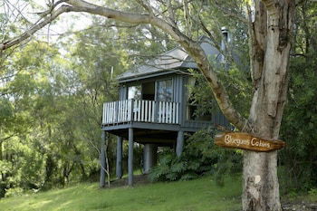 Bluegums Cabins Barrington Tops - Tourism Guide 1