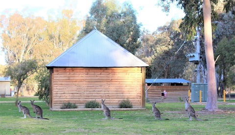 Ingenia Holidays Murray Bend - Tourism Guide 1