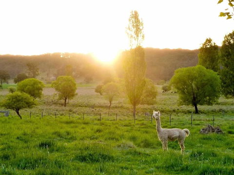 Glen Waverly Farmstay - Tourism Guide 6