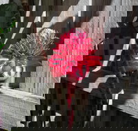 Latania Luxury Villas - Travel Search