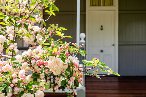 Apple Blossom Cottage - Travel Search 0