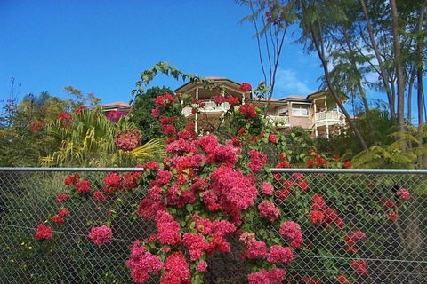 Tranquill Garden Hideaway - Travel Search 6