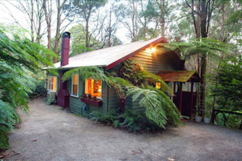 A Cottage In The Forest - Tourism Guide 0