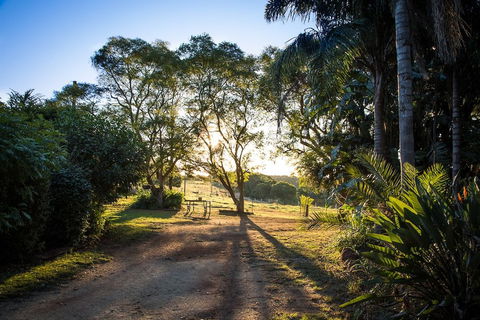 Hillview Cottages - Travel Search 0