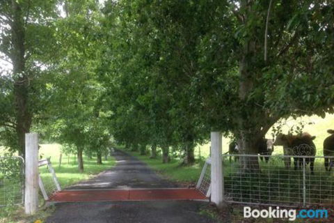 Whispers At Cedar Grove - Tourism Guide 7