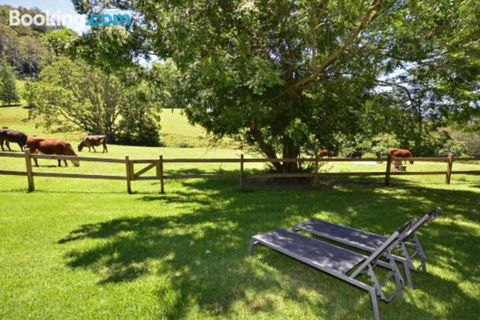 Whispers At Cedar Grove - Tourism Guide 5