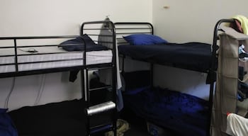 Zing Backpackers - Tourism Guide 2