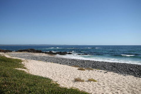 CHILL OUT BEACHSIDE At FORSTER - Tourism Guide 5