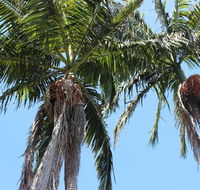 Tri Byron Bay - Travel Search