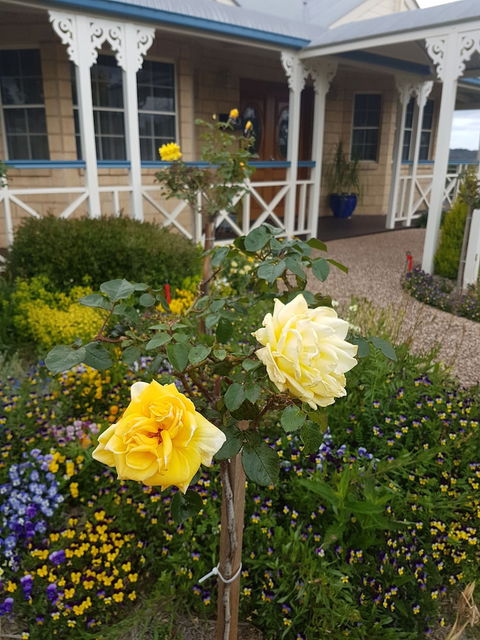 Grovely House Bed & Breakfast - Travel Search 3