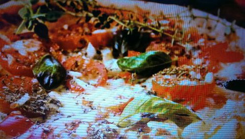 Alfio's Pizzeria - Tourism Guide 0