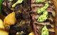 Duende Tapas Bar - thumb 9