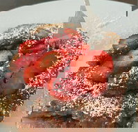 Little Deer Tracks - Travel Search