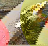 Tarnuk Room  Boon Wurrung Cafe