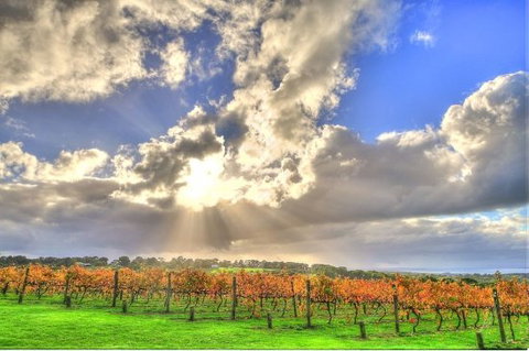 Max's At Red Hill Estate - Tourism Guide 0