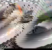 Cafe Lazat - Travel Agents