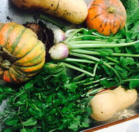 Shady Elm Cafe - Travel Agents