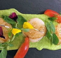 Cafe Amphora - Travel Agents