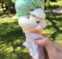 The Rainbow Ice Cream Shop - Cruises Travel