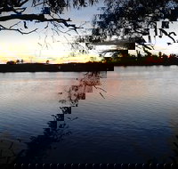 Rochy Pizza N' Bistro - Travel Agents