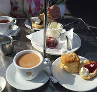 The Pelican Cafe - Cruises Travel