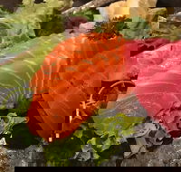 Sushi Dining Den - Travel Agents