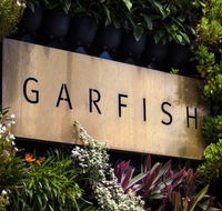 Garfish - Cruises Travel