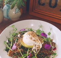 The Shak Organic Cafe  Wine Bar - Tourism Guide