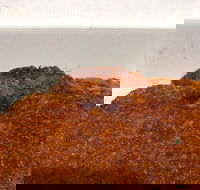 Pizza On Lomond - Travel Search