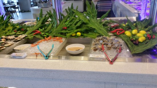 Nelson Bay NSW Tourism Guide